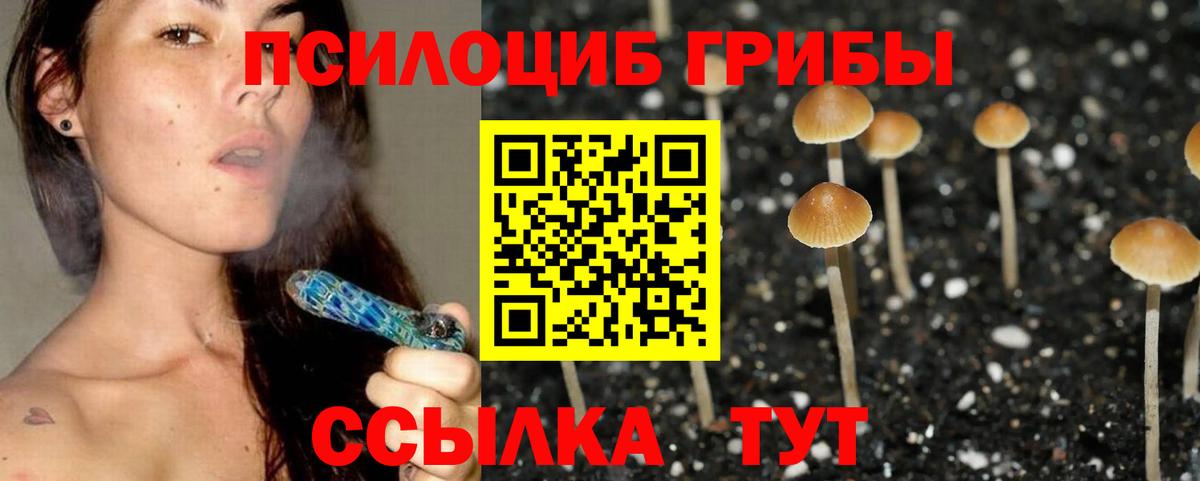 Галлюциногенные грибы мухоморы  Вход с VPN  купить наркотик  Брянск 
